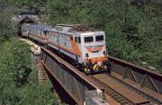 KM-3250-E646166-R5987-Dogna-751995