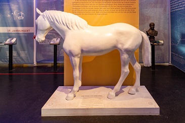 Das Pferd im SÜDBAHN Museum